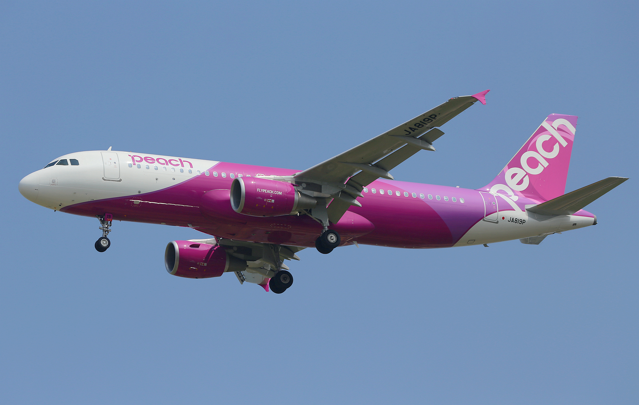 ピーチ、A321XLR導入で東南アジア・国内リゾート路線拡大へ 燃料高騰に