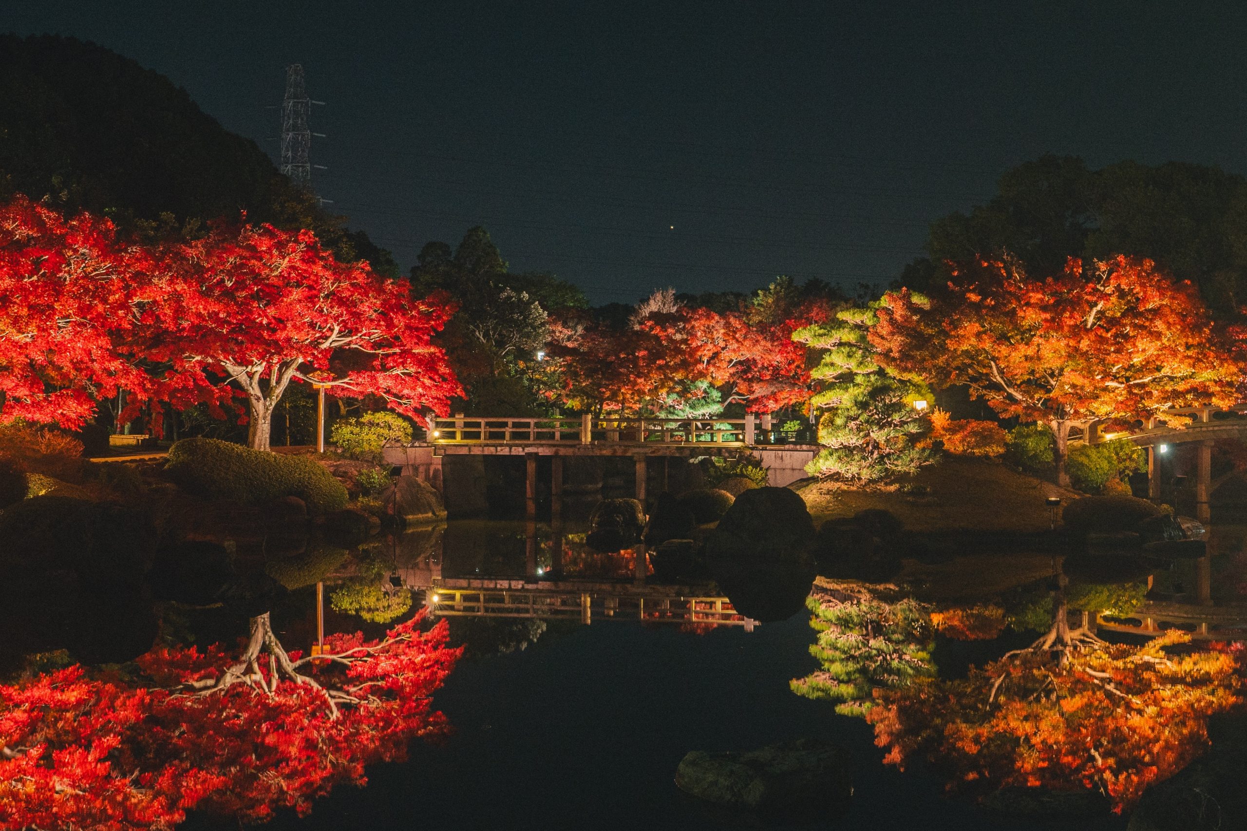 【パノラマ窓仕様】紅葉 もみじ イロハモミジ 日本庭園 池 壁紙ポスター 堺市堺区】大仙公園日本庭園にて秋季夜間特別開園「紅葉の灯」が11/14
